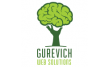 Интернет-агентство Gurevich Web Solutions